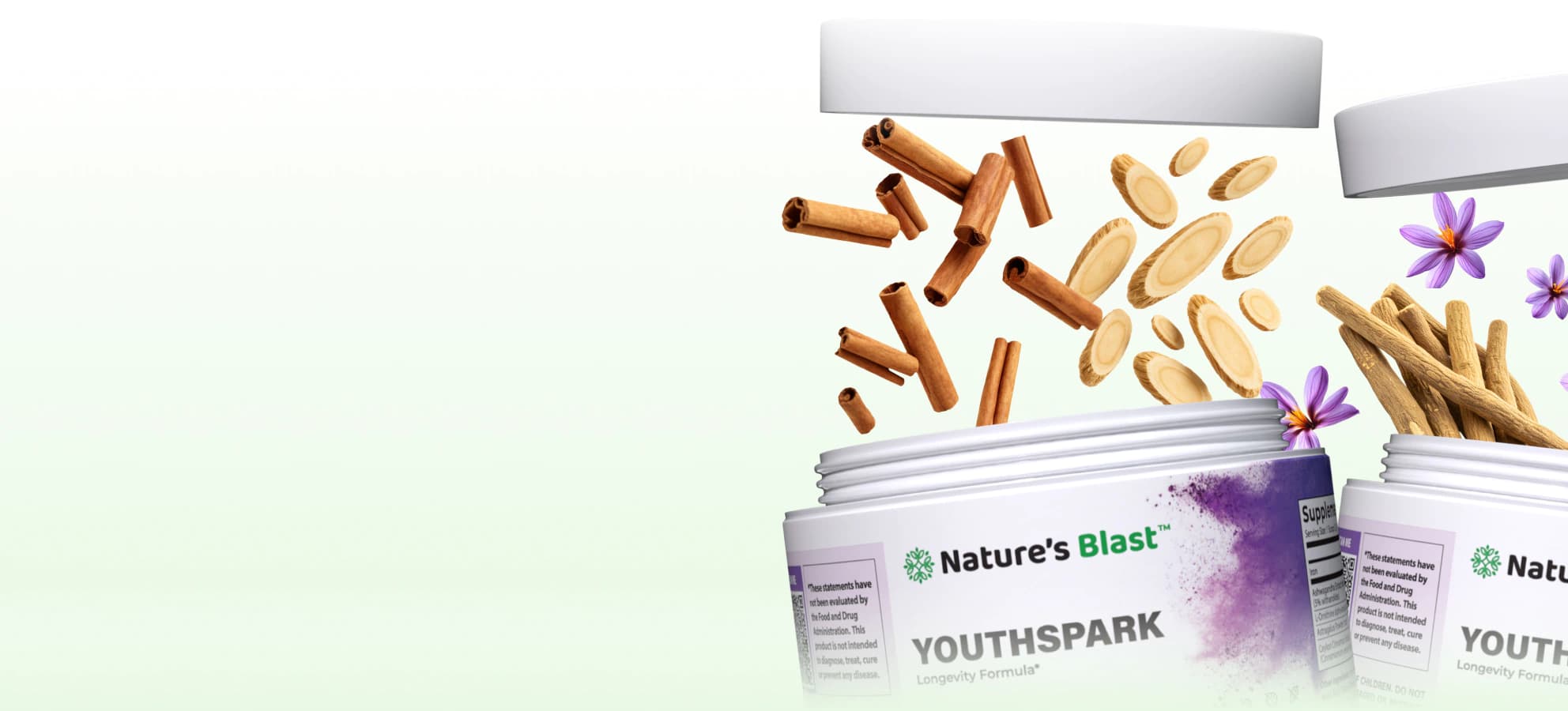 Longevity Supplements