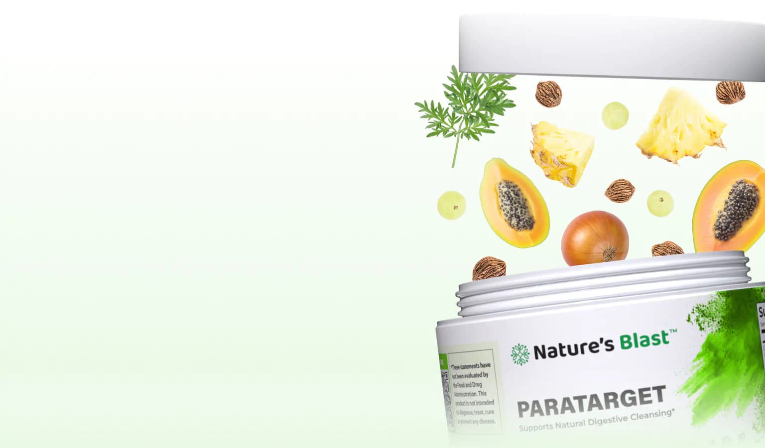 Parasite Detox Supplements