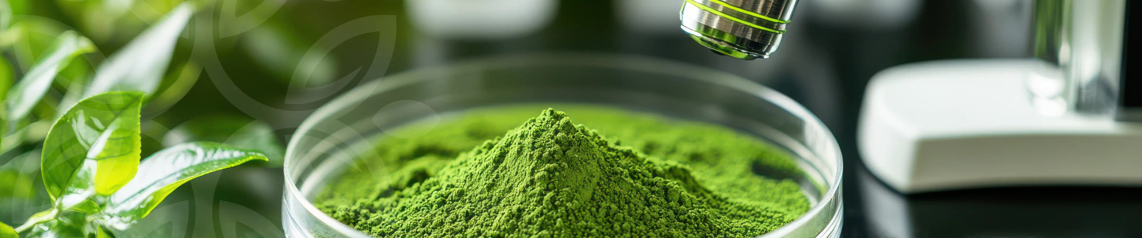 mature couple walking