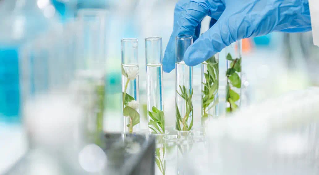 State-of-the-Art Manufacturing